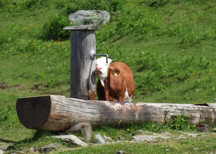 Guggenbergerhof Pensjonat 3*